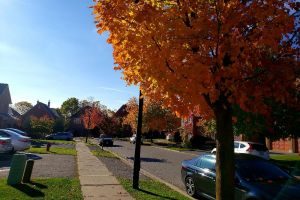 Newmarket – Same Day Courier Service