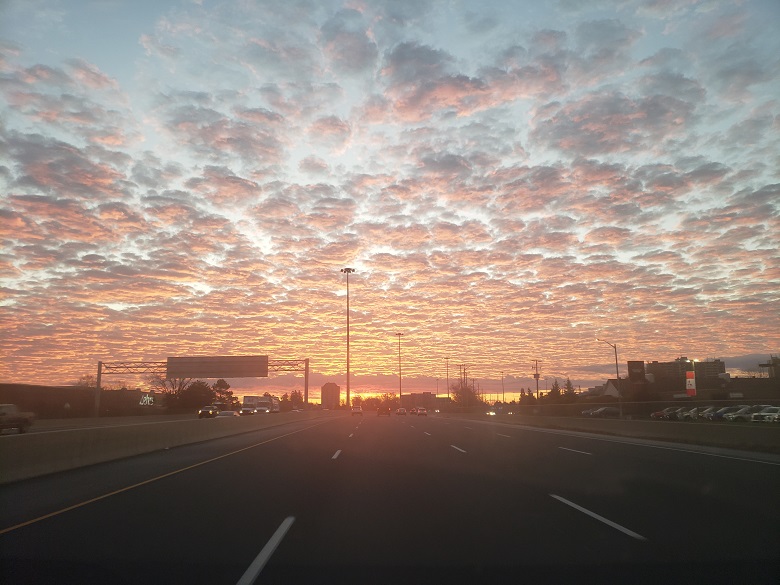 Same day delivery to Sarnia