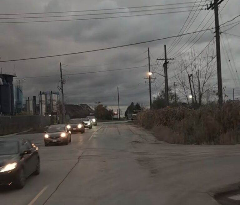 Fast & reliable delivery